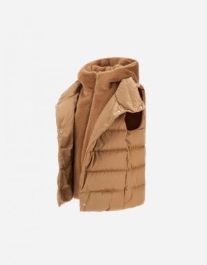  2157 CAMEL