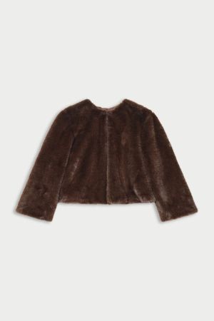 FETIC-NWEPS01-232 232 brun fonce